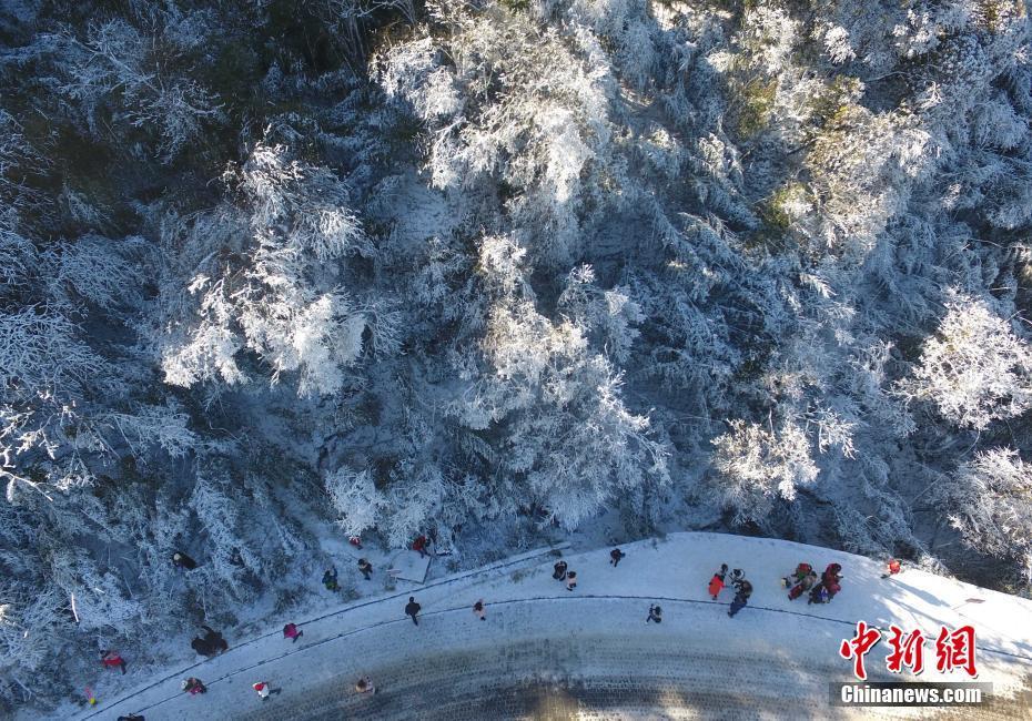 12月20日，重慶金佛山銀裝素裹雪景美如畫，吸引了不少游客前來觀賞。當日，第19屆金佛山冰雪節(jié)正式開幕。 陳超 攝