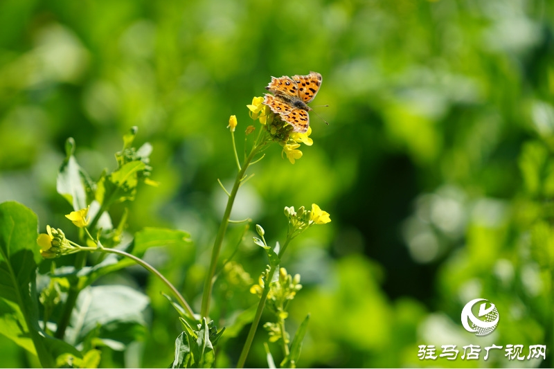 我們堅(jiān)守，為了早日重逢