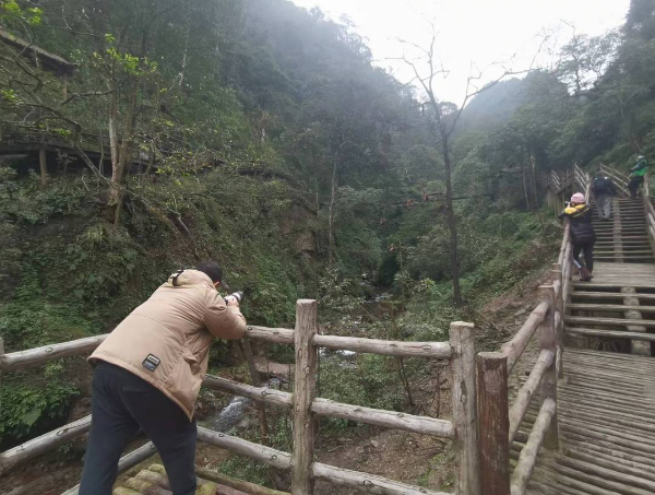 峨眉山猴子被拘留？假的！峨眉山猴子是國家二級保護(hù)動物