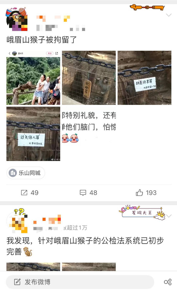 峨眉山猴子被拘留？假的！峨眉山猴子是國家二級保護(hù)動物