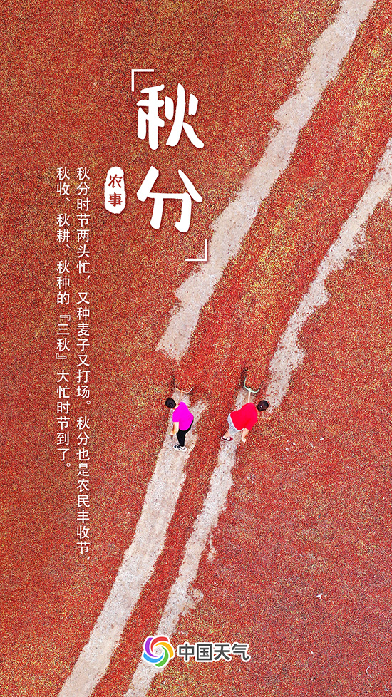 秋分至！又是一年好“豐”景 全國(guó)秋收地圖看哪里五谷豐登