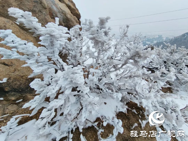 美呆了！羅漢山開啟雪凇、霧凇雙景齊現(xiàn)模式