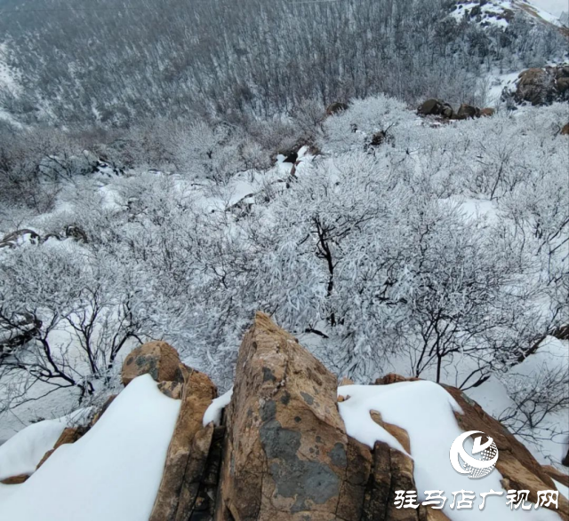 美呆了！羅漢山開啟雪凇、霧凇雙景齊現(xiàn)模式