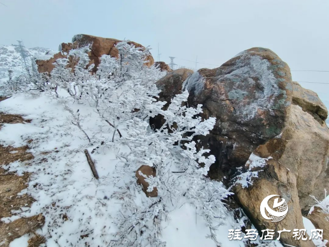 美呆了！羅漢山開啟雪凇、霧凇雙景齊現(xiàn)模式