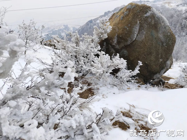 美呆了！羅漢山開啟雪凇、霧凇雙景齊現(xiàn)模式