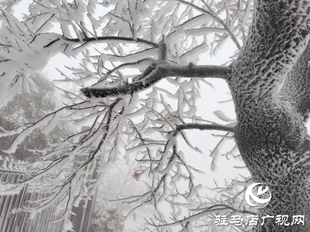 美呆了！羅漢山開啟雪凇、霧凇雙景齊現(xiàn)模式