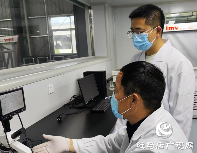 全國兩會精神進(jìn)基層||泌陽縣夏南?？萍奸_發(fā)有限公司：加快發(fā)展新質(zhì)生產(chǎn)力 推動肉牛產(chǎn)業(yè)發(fā)展壯大