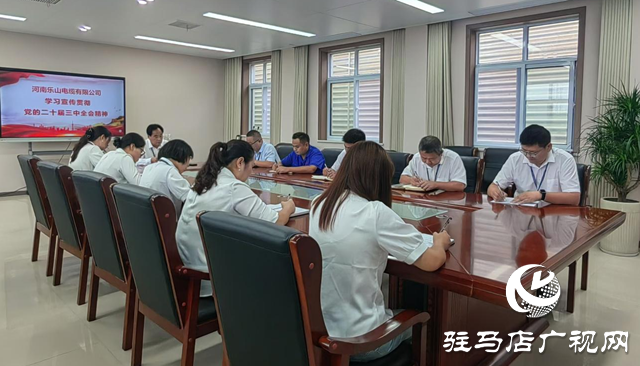 河南樂(lè)山電纜：以全會(huì)精神為指引 實(shí)現(xiàn)企業(yè)高質(zhì)量發(fā)展
