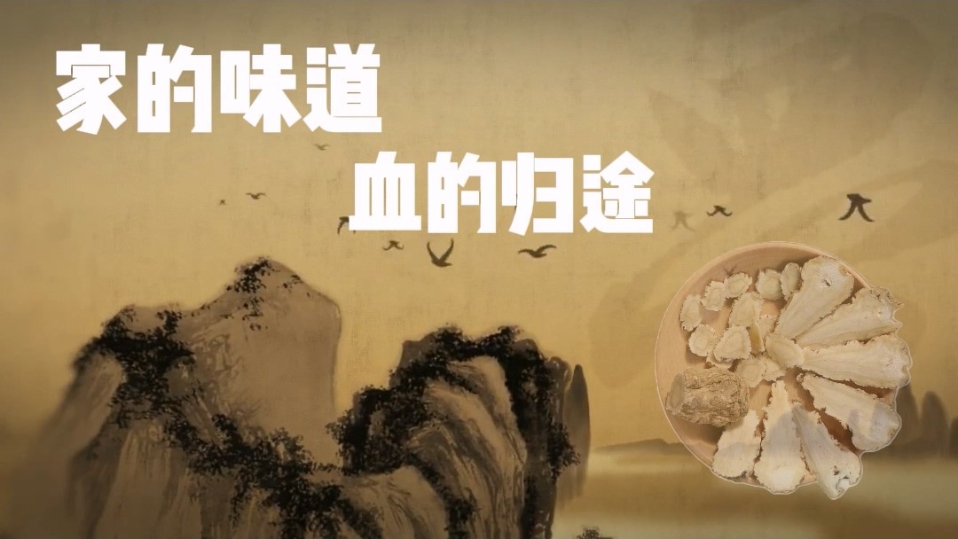 家的味道，血的歸途——駐馬店市中醫(yī)院