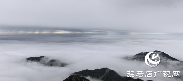 【大美天中】駐馬店老樂(lè)山：云海翻涌映翠峰 引客醉游于云端