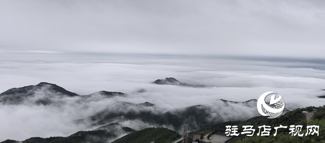 【大美天中】駐馬店老樂(lè)山：云海翻涌映翠峰 引客醉游于云端