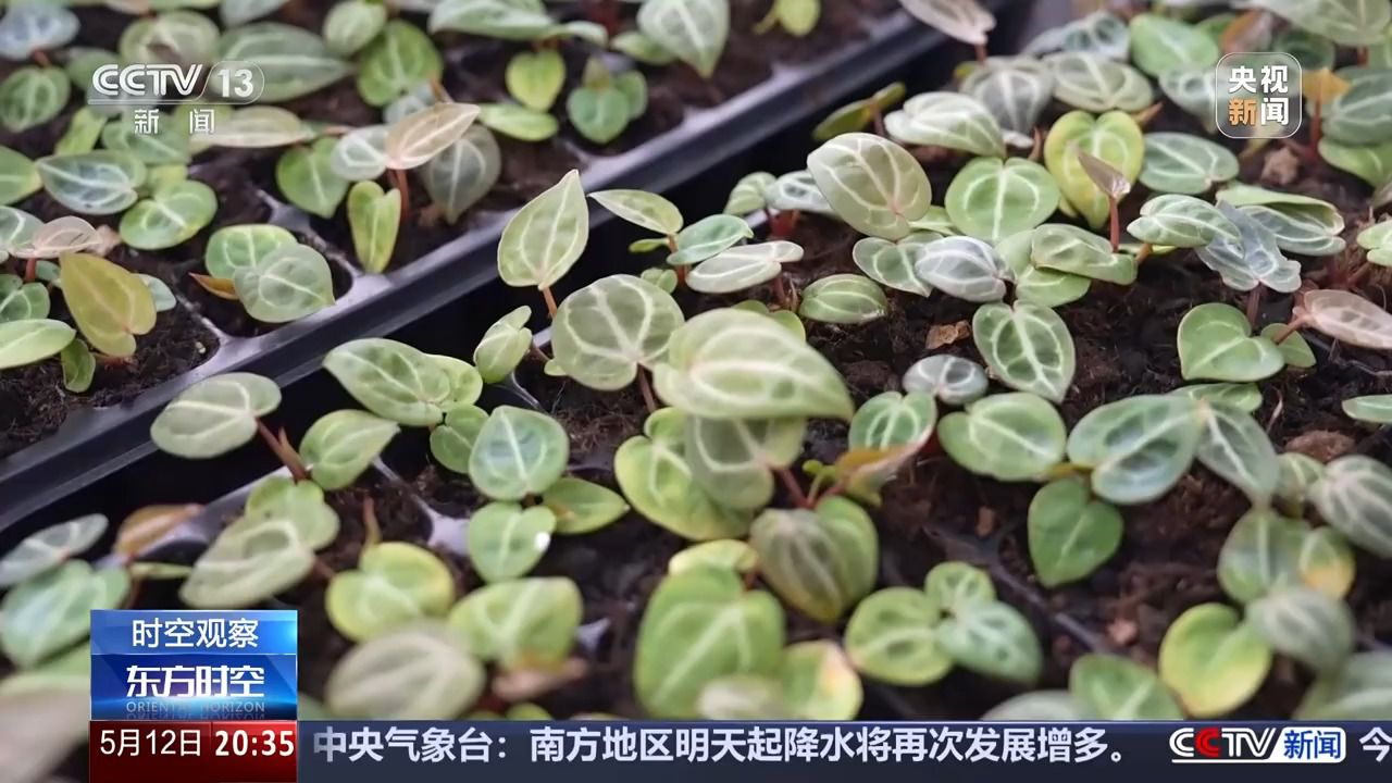 花錢開(kāi)心 今天你“情緒消費(fèi)”了嗎？