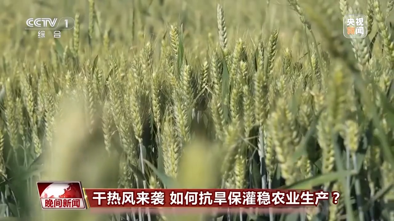 干熱風來襲 如何抗旱保灌穩(wěn)農(nóng)業(yè)生產(chǎn)？