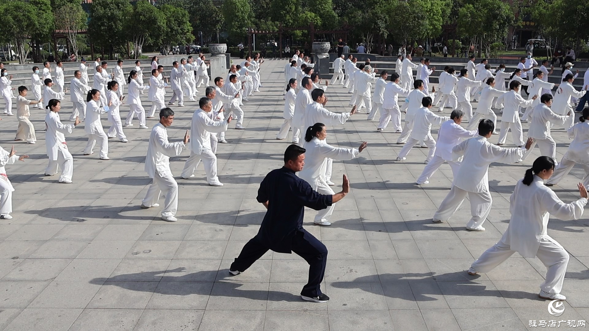 2025年全國“5.19”太極拳大聯(lián)動(dòng)（正陽分會(huì)場）活動(dòng)舉行