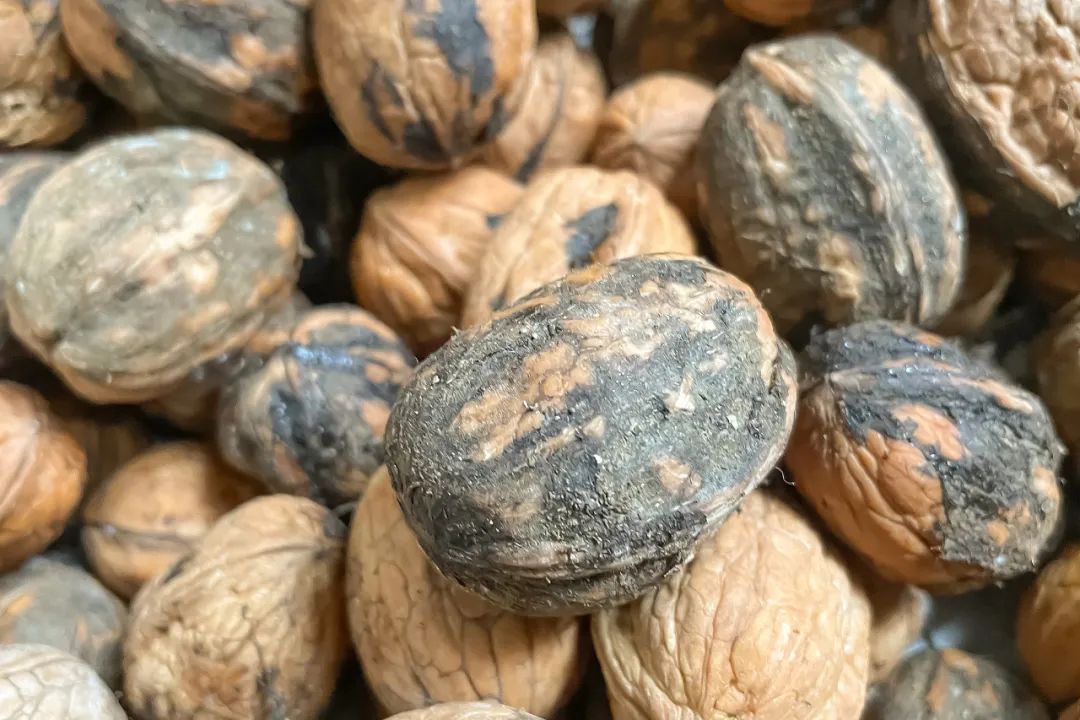提醒！這7類食物，最好不要再吃了