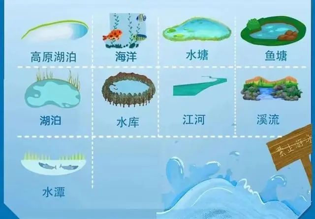 應(yīng)急時(shí)刻|野游，竟腳綁啞鈴……
