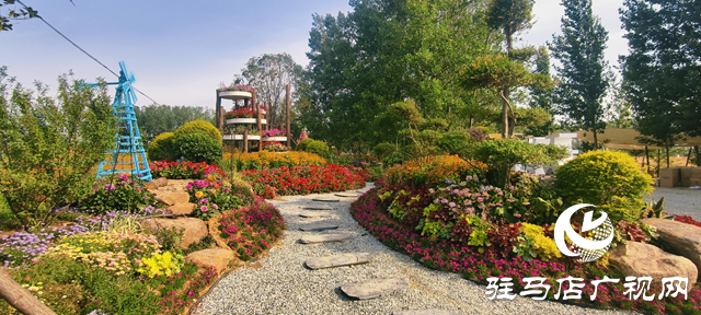 駐馬店驛城區(qū)魏莊村：百畝花?？楀\繡 文旅新篇引客來(lái)