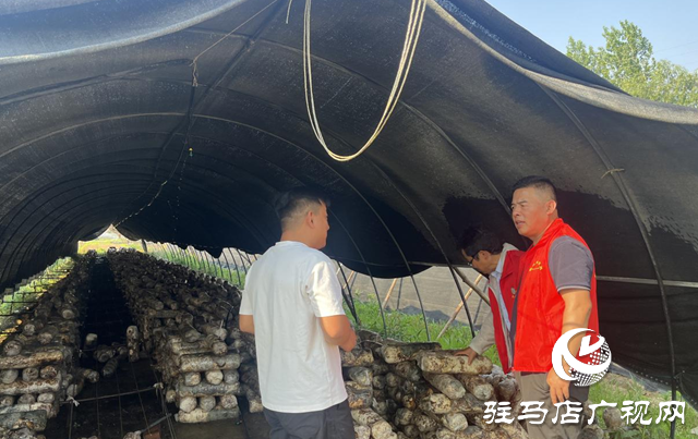 泌陽縣：科技服務(wù)到田間 特色產(chǎn)業(yè)促發(fā)展