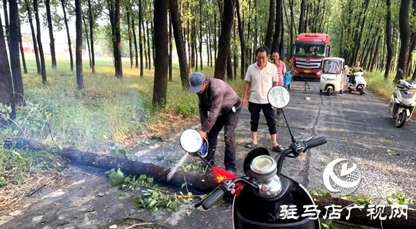 平輿縣：“接訴即辦”顯擔(dān)當(dāng)  熱線聯(lián)動(dòng)速排道路險(xiǎn)情