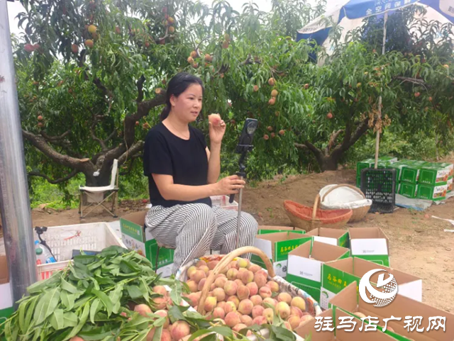 手機(jī)成“新農(nóng)具” 直播變“新農(nóng)活”！泌陽(yáng)果農(nóng)破局林果銷(xiāo)售助鄉(xiāng)村振興