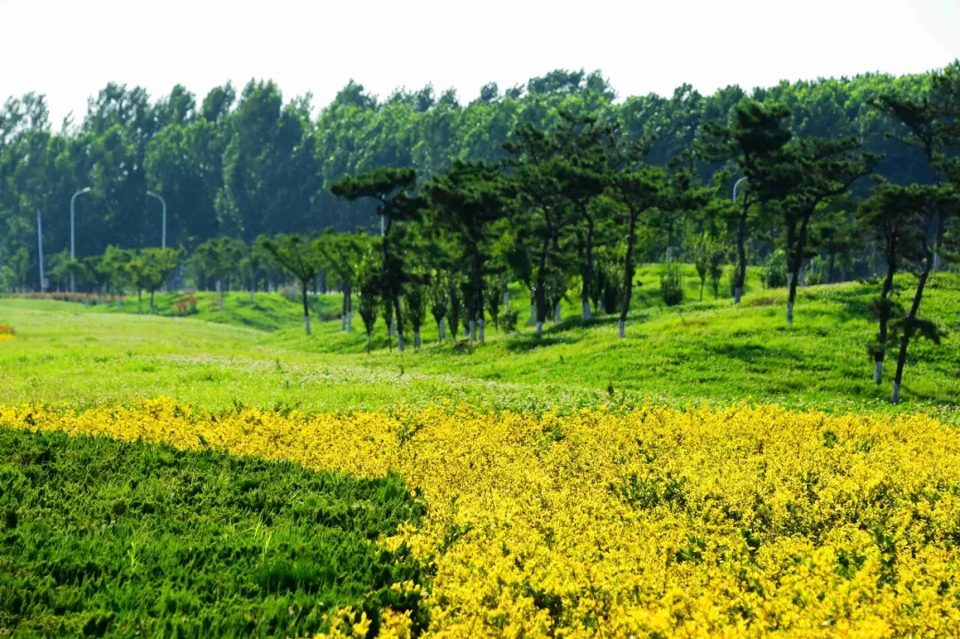  六月份的泌陽(yáng)！美到心醉了......