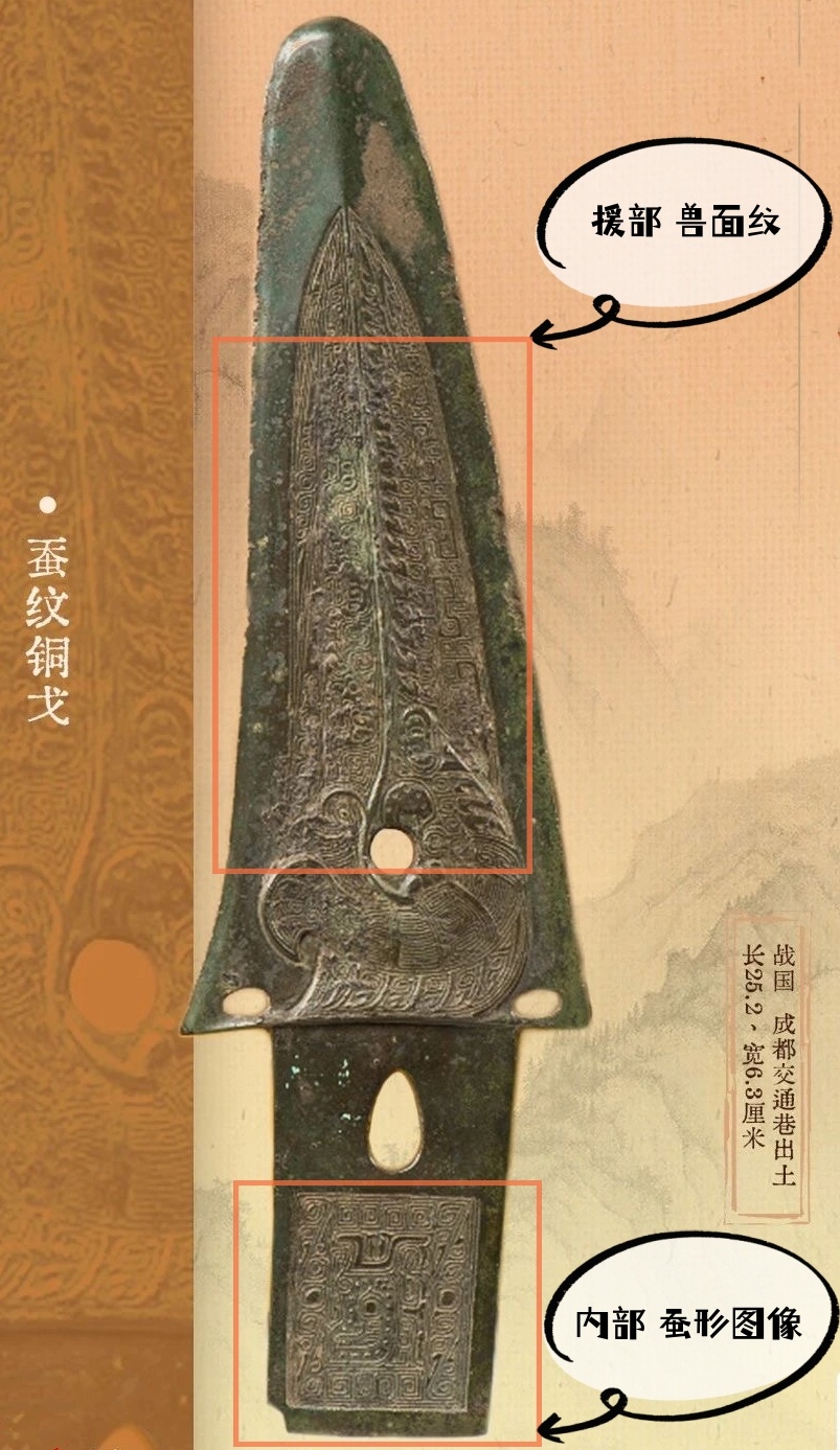 青銅戈上刻蠶紋 這是古蜀人種桑養(yǎng)蠶的實(shí)證