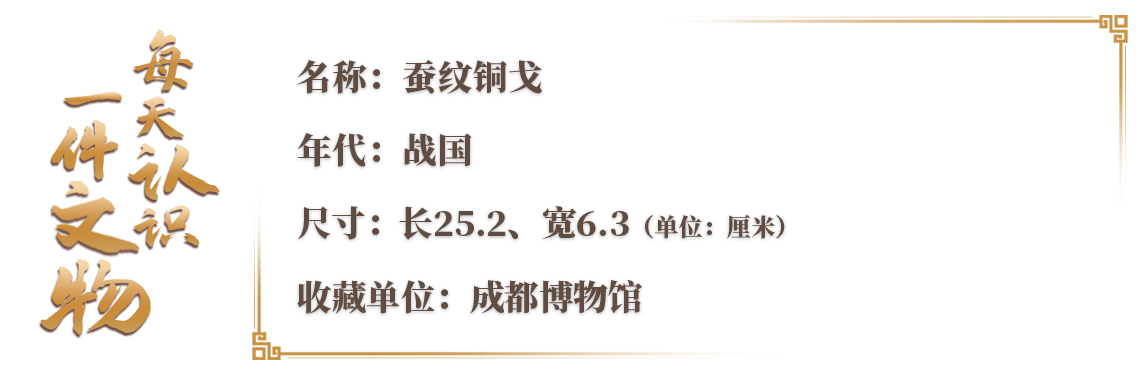 青銅戈上刻蠶紋 這是古蜀人種桑養(yǎng)蠶的實(shí)證
