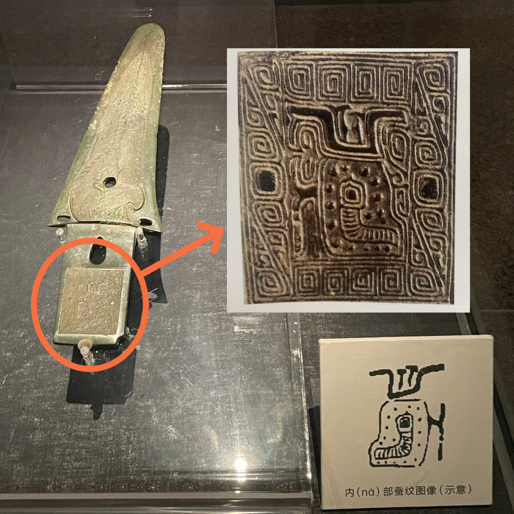 青銅戈上刻蠶紋 這是古蜀人種桑養(yǎng)蠶的實(shí)證