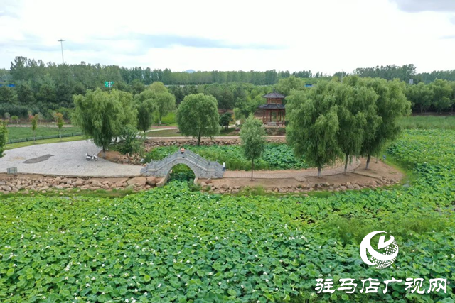 【大美天中】泌陽(yáng)現(xiàn)“水晶天”！漢風(fēng)古韻與湖光云影同框
