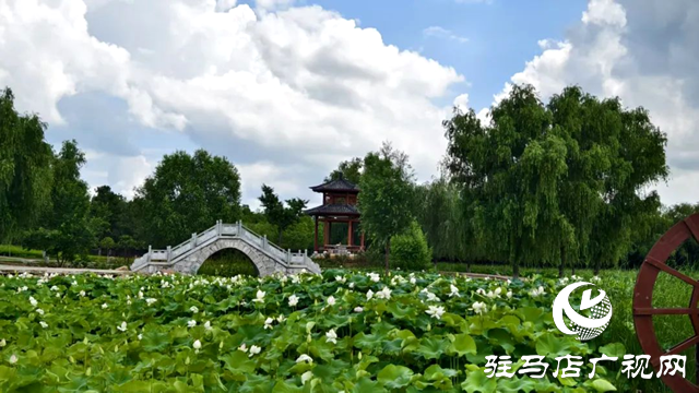 【大美天中】泌陽(yáng)現(xiàn)“水晶天”！漢風(fēng)古韻與湖光云影同框