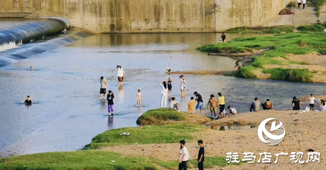 【大美天中】不輸遠(yuǎn)方 泌陽(yáng)濕地公園成“家門口的阿勒泰”