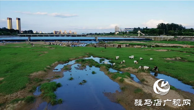 【大美天中】不輸遠(yuǎn)方 泌陽(yáng)濕地公園成“家門口的阿勒泰”