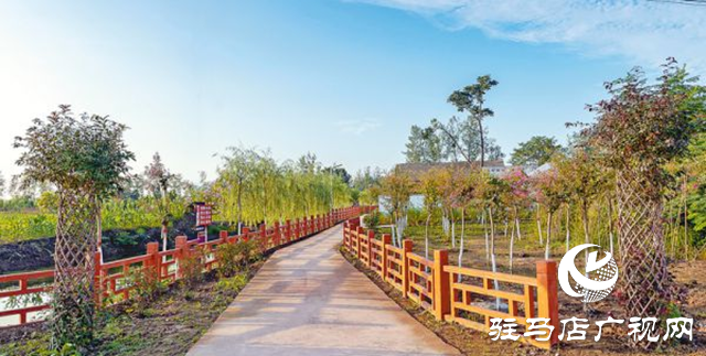正陽縣彭橋鄉(xiāng)大劉村：文明鄉(xiāng)風鑄就“國字號”金招牌