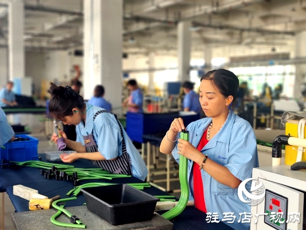 平輿縣“三園”引擎：三鏈共舞，托起強縣富民新圖景