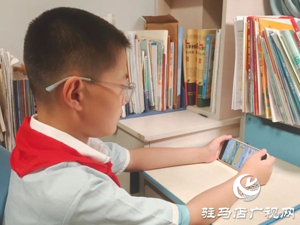  駐馬店實驗小學組織開展“暑期網(wǎng)絡公益課堂·筑牢師生安全防線”活動