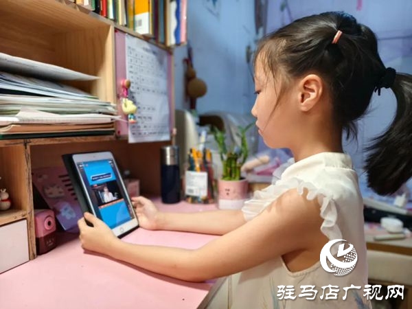 駐馬店實驗小學組織開展“暑期網(wǎng)絡公益課堂·筑牢師生安全防線”活動