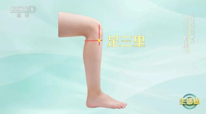 立秋如何養(yǎng)肺？怎么吃更健康？換季養(yǎng)生小貼士請查收