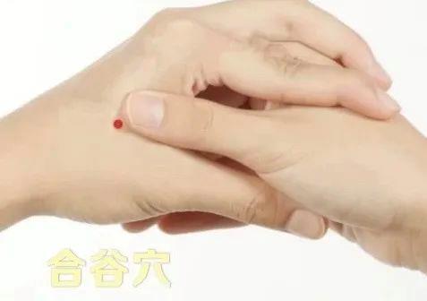 立秋如何養(yǎng)肺？怎么吃更健康？換季養(yǎng)生小貼士請查收