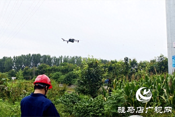 國網平輿縣供電公司：激光除患護線路 高效運維有保障