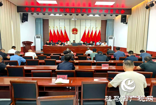 平輿縣十字路鄉(xiāng)：環(huán)境整治三步走，擦亮文明新底色