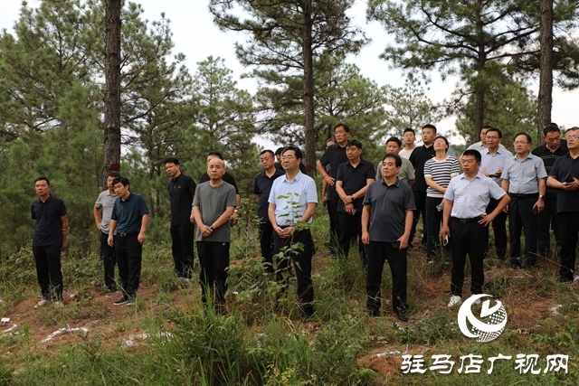 全省森林撫育經營現(xiàn)場推進會在泌陽縣召開