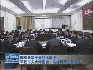 陳星參加平輿代表團(tuán)審議市人大常委會(huì)、法檢兩院工作報(bào)告（視頻）